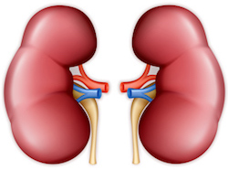 diabetes rins nefropatia