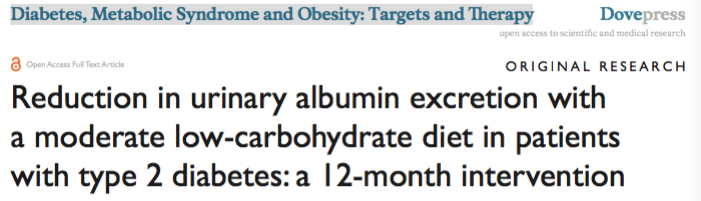 Dieta Low Carb e Diabetes - Artigo Publicado em revista de endocrinologia