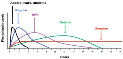 insulina tipos diabetes