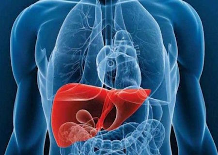 endocrinologista esteatose hepática figado