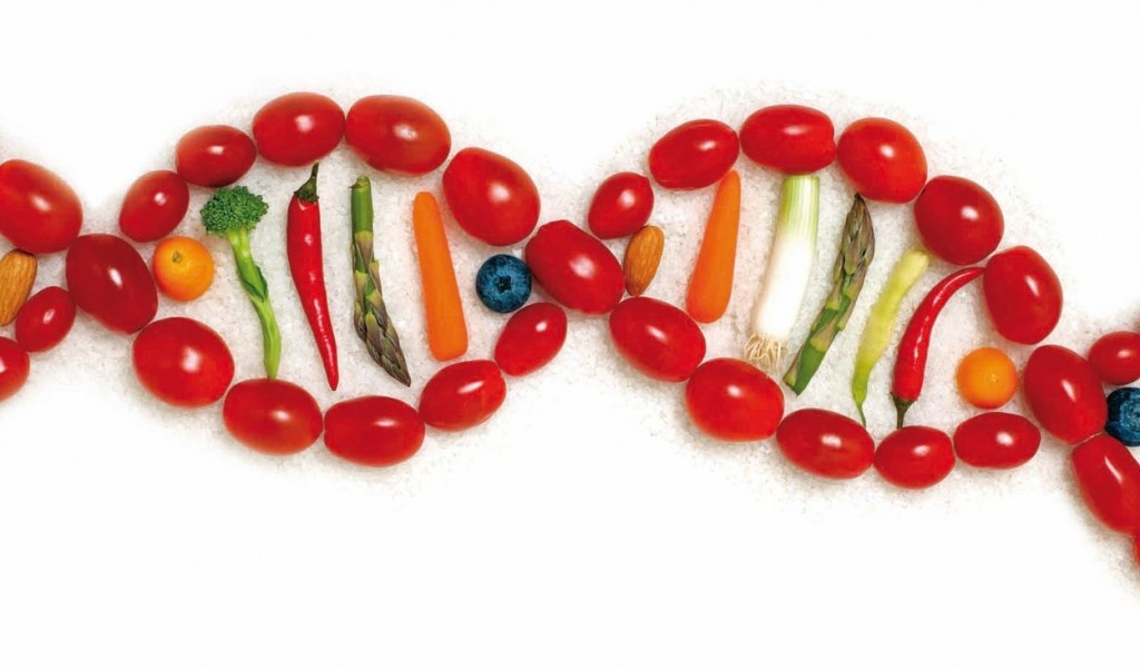 obesidade genética tratamento endocrinologista